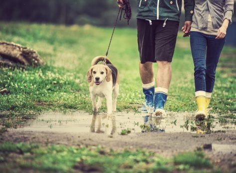 One Major Side Effect of Walking Every Day